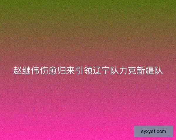 赵继伟伤愈归来引领辽宁队力克新疆队